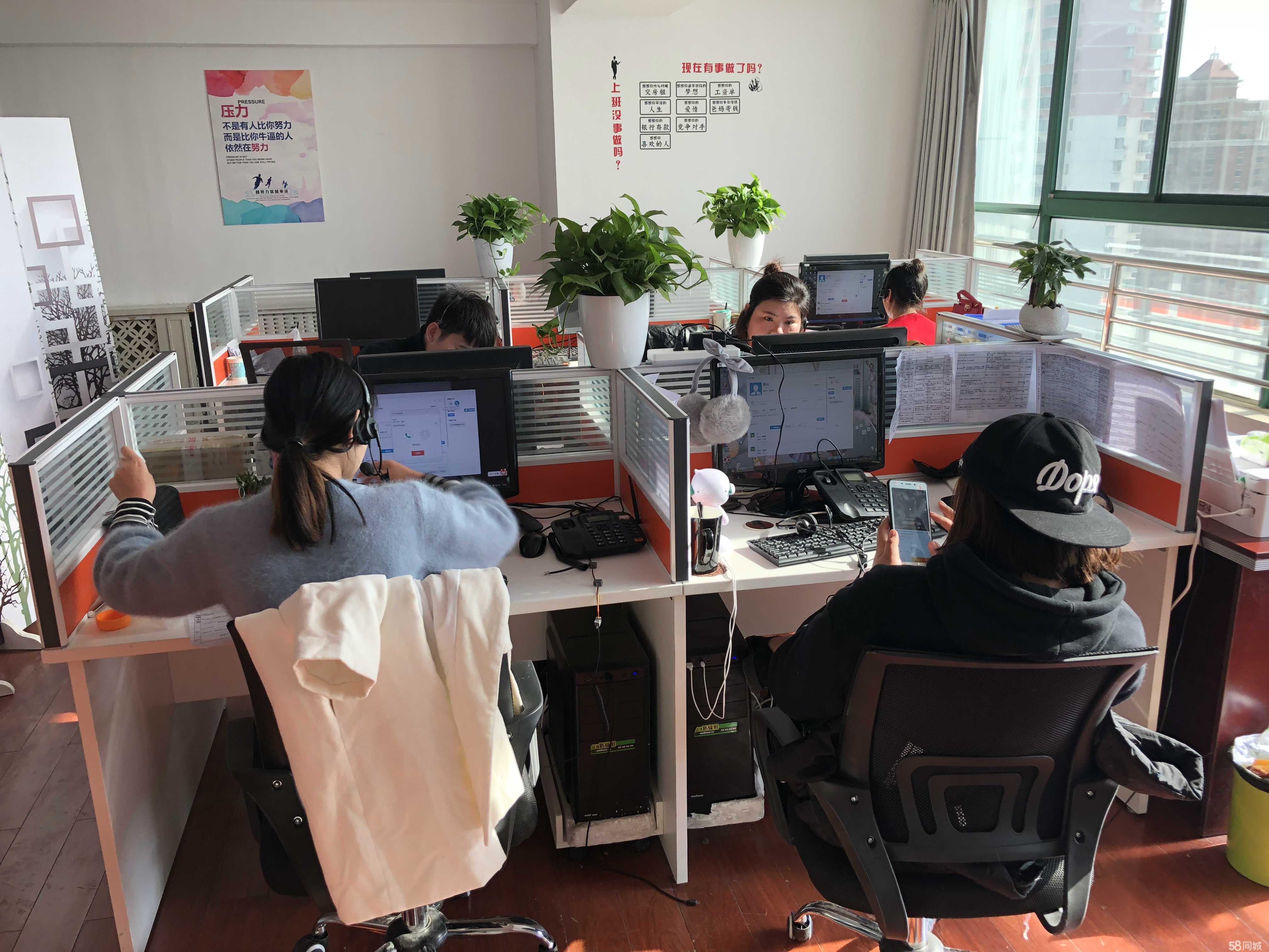 洛阳市弘源行网络咨询服务 引领信息咨询新风尚